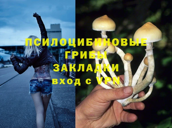 mdpv Куйбышев