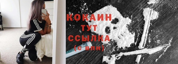 гидропоника Кулебаки
