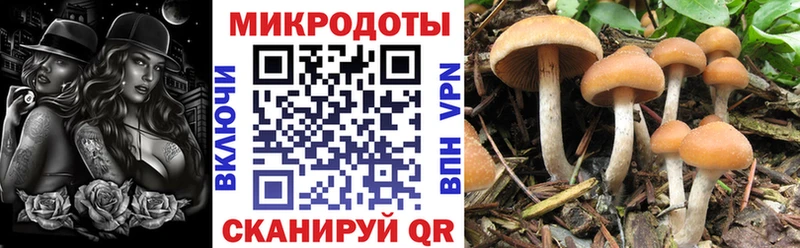 Купить закладки  Иланский  Галлюциногенные грибы MAGIC MUSHROOMS 